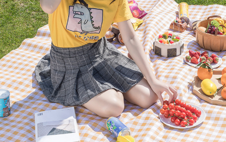 Waterdicht Picknickkleed